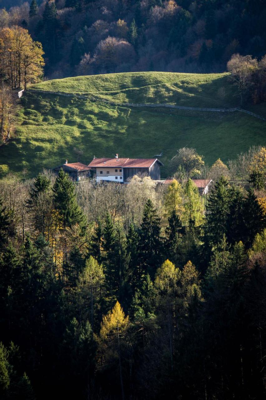 Апартаменти Muenchen- Pullach, Wohnen Im Gruenen Екстер'єр фото